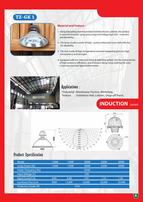 Lampu Industri Induksi LVD 250 Watt